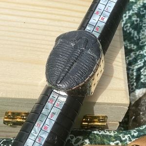 Amazing Rebecca Collins sterling silver Trilobite statement ring